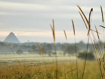 Glass House Mountains, 2004