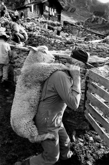 Belalp, 1996