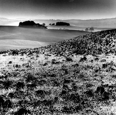 Tuscany, Landscape, 2005