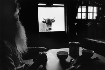 Kernalp, 1996