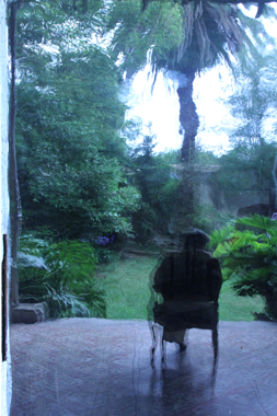The Forbidden Garden, 2014