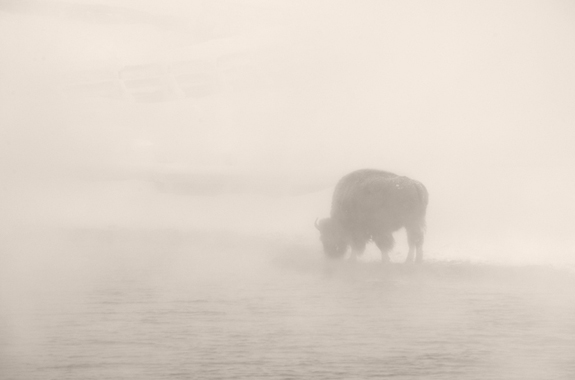 Silent Storm, Yellowstone National Park, 2011